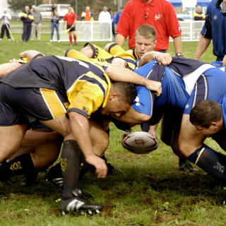 Rugby 2015