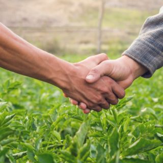 Why have a farming partnership agreement?