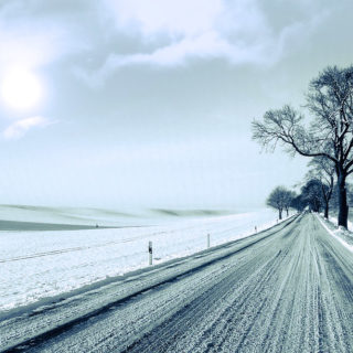 Snow landscape and road