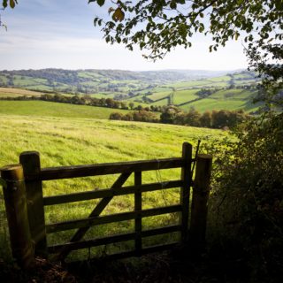 Restrictive covenants
