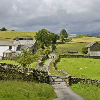 Farming Partnership Agreements