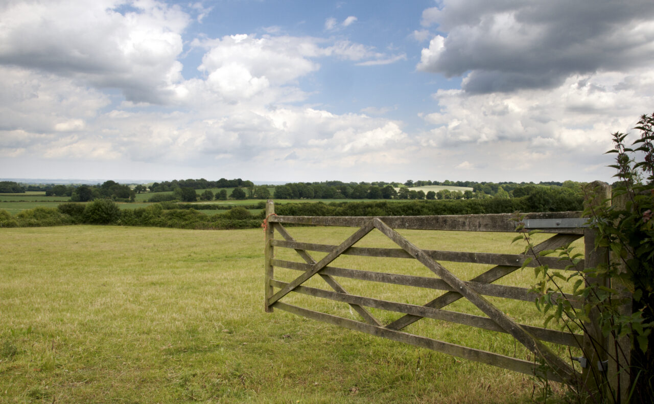 Easements on my land or property: what do I need to know?