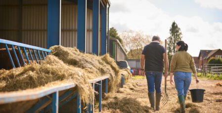 Image for Protecting farming families: prenups and Living Together Agreements