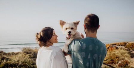 Image for Planning for ahead for your pet’s future – The power of pet-nuptial agreements  