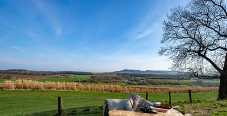 Image for What the government’s crackdown on waste crime means for landowners and rural businesses 