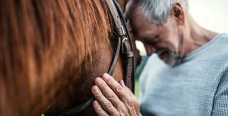 Image for Who gets the horse? How English law treats high-value animals on divorce 